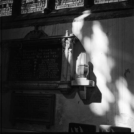 Kentmere 100 in the Mamiya C220