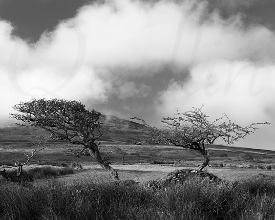 Snaefell Cafe 7