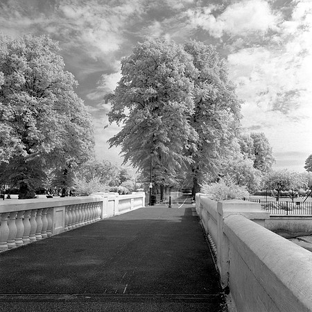 Mamiya C220 IR400