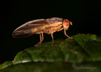 Inverts Group 03OCT26 Visit
