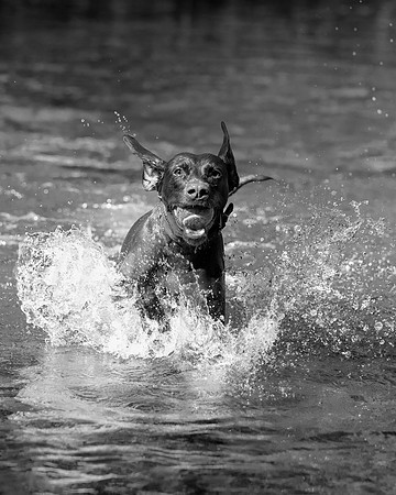 Coco Sulby River 1 Mono