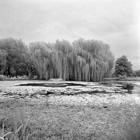 Mamiya C220 Rollei IR400