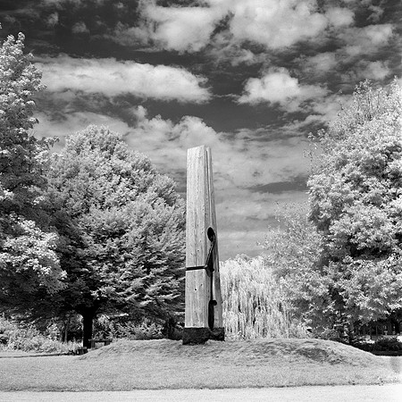 Mamiya C220 Rollei IR 400