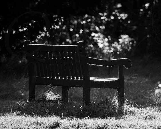 Bench, Poyll Dooey.