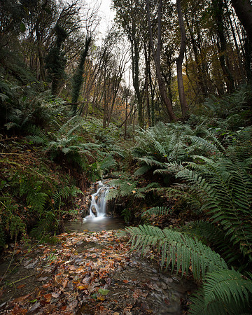 Autumn in Lezayre 4
