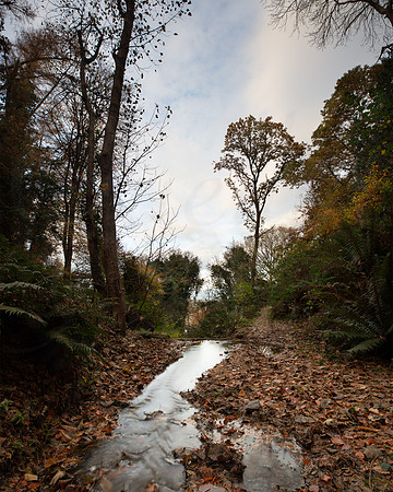 Autumn in Lezayre 3