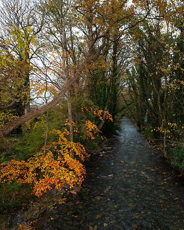 Autumn in Lezayre 51