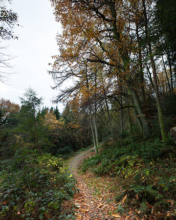 Autumn in Lezayre 6