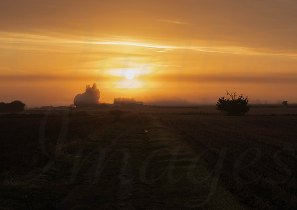 Misty sunrise
