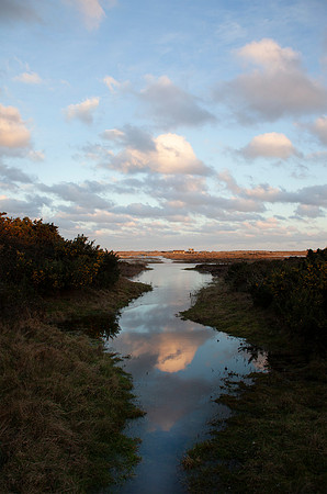 Ayres Reflections Feb