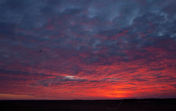 Ayres Dawn A Feb PQI
