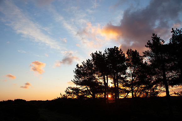 Ayres Sunrise