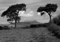 Towards Ingleborough from Greystonegill