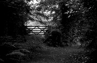 Kodak Retina Kentmere 200