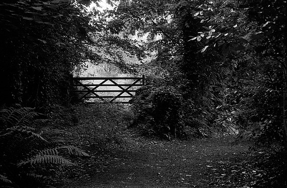 Kodak Retina Kentmere 200