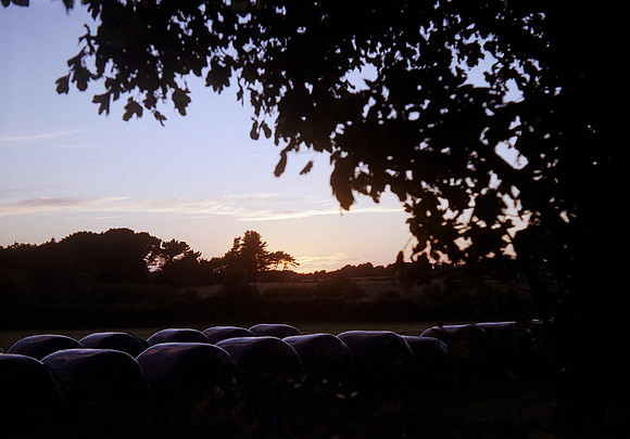Fields