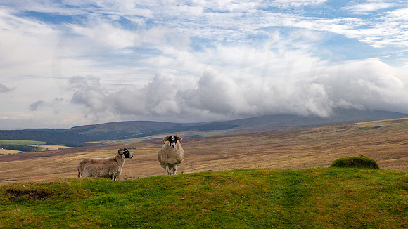 Towards Snaefell