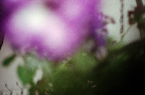 017