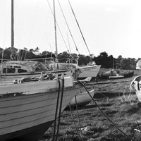 Kentmere 100, shot in the Mamiya C220