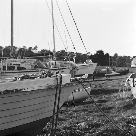 Kentmere 100, shot in the Mamiya C220
