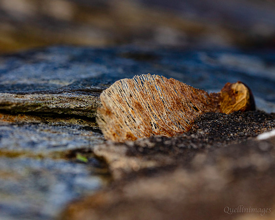 Sycamore abstraction Gov. Hse. 19OCT24