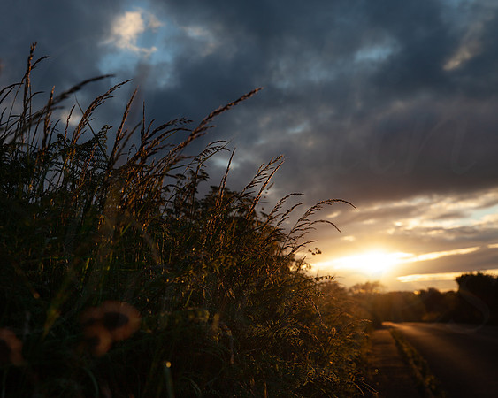 Road to the Sun