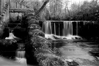 Kentmere 100